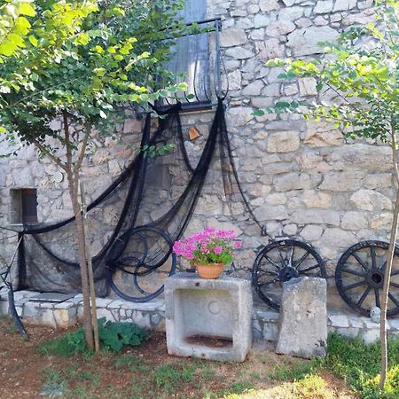 Apartments Nella Sveti Anton  Εξωτερικό φωτογραφία